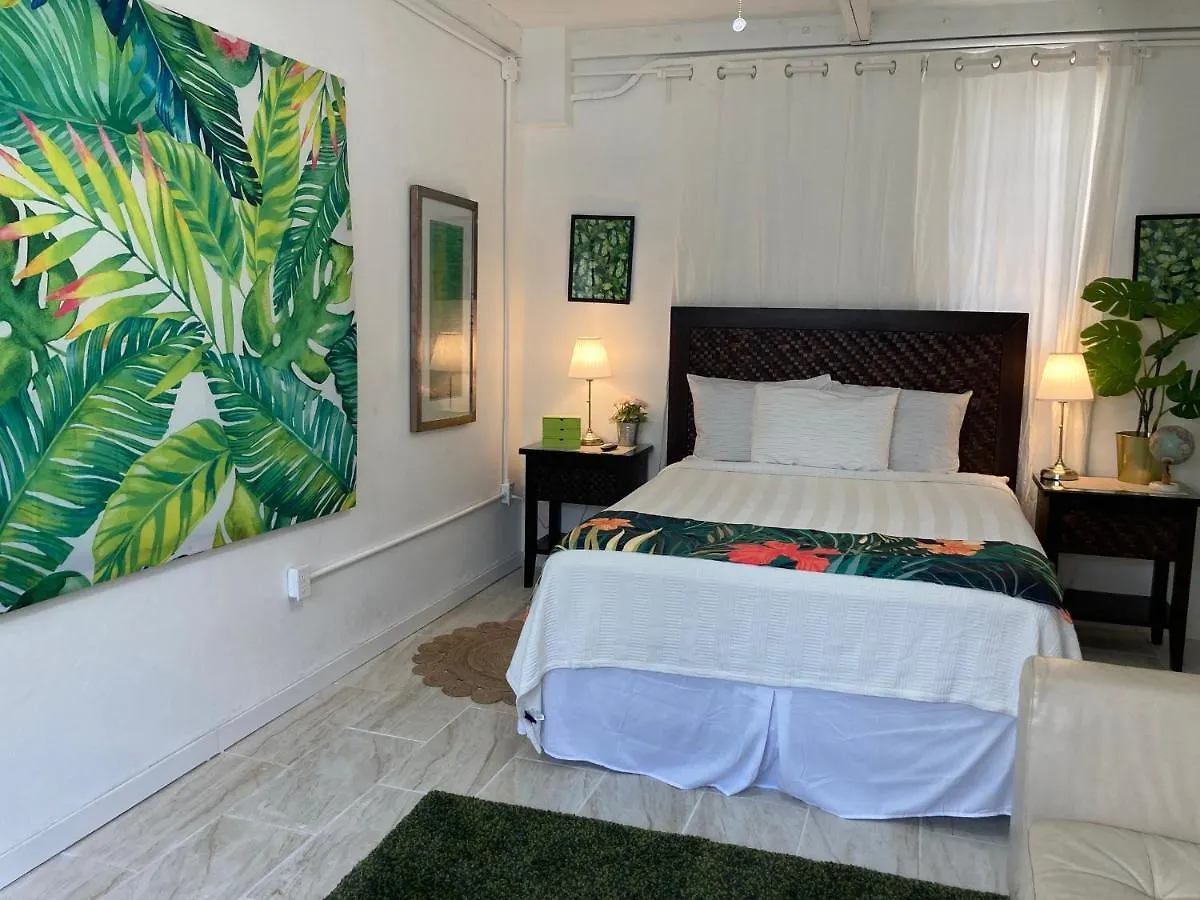 Tropical Apartments In Miramar 산후안 푸에르토리코