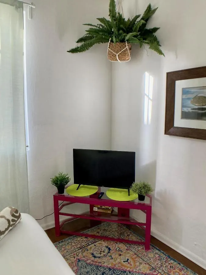 Tropical Apartments In Miramar 산후안 푸에르토리코